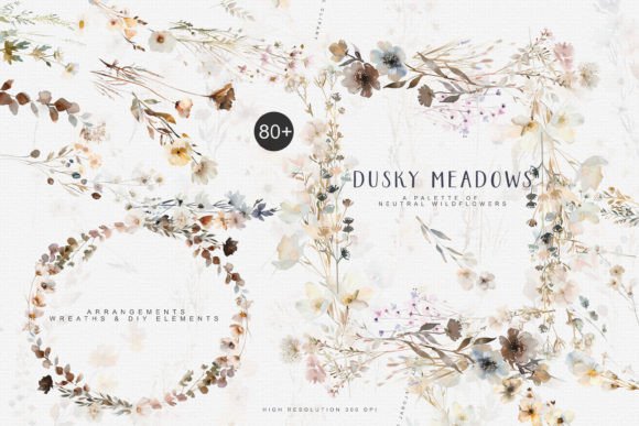 Download Watercolor Wildflowers Digital Clipart - Wildflower Collection