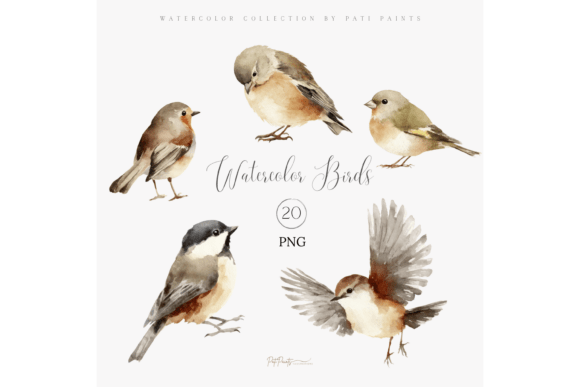 Download Watercolor Bird Clipart Bundle - Bird clipart Collection