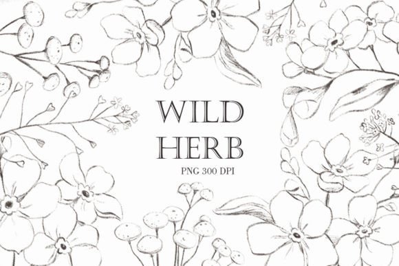 Download Wildflower Png. Vintage Flowers - Wildflower Collection