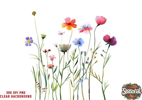 Download Watercolor Boho WildFlowers Clipart - Wildflower Collection
